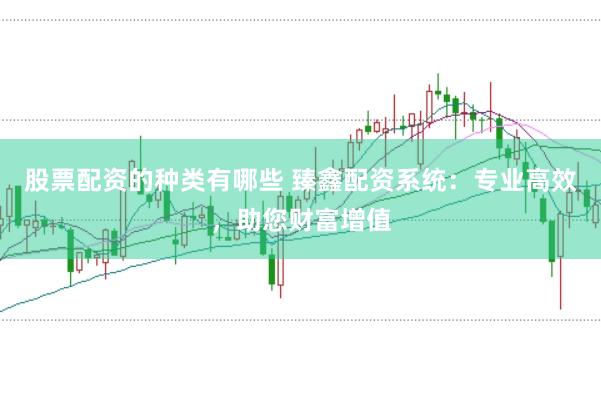 股票配资的种类有哪些 臻鑫配资系统：专业高效，助您财富增值