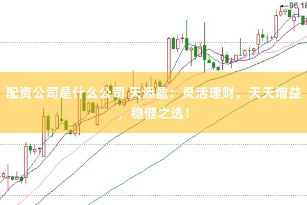 配资公司是什么公司 天添盈：灵活理财，天天增益，稳健之选！