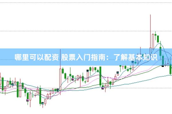 哪里可以配资 股票入门指南：了解基本知识