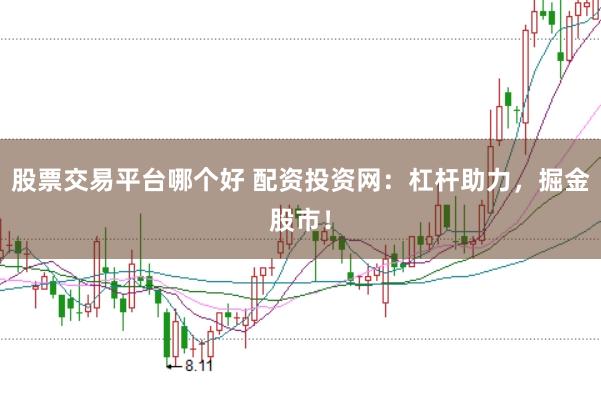 股票交易平台哪个好 配资投资网：杠杆助力，掘金股市！